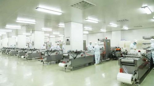 探訪煌上煌醬鹵博物館 美食工廠變身文化旅游景區(qū)，打造獨(dú)特文旅新地標(biāo)